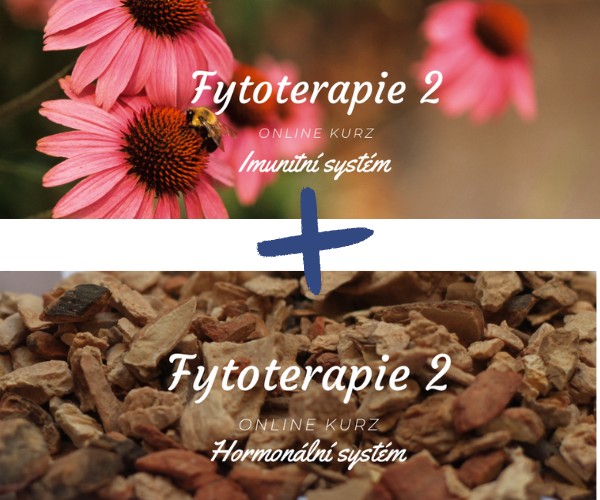 Set kurzů Fytoterapie II – imunitní a hormonální systém